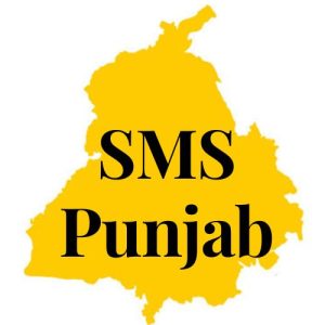 Service Matter Solutions Punjab